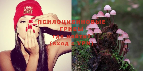 мяу мяу кристалл Покачи
